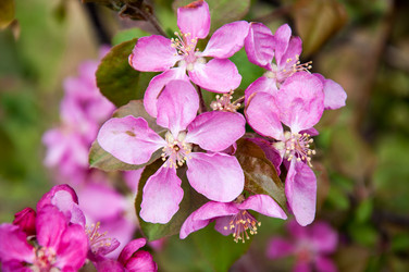 Similar image 2806590