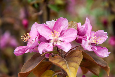 Similar image 2806591