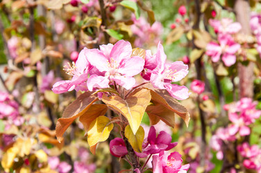 Similar image 2806592