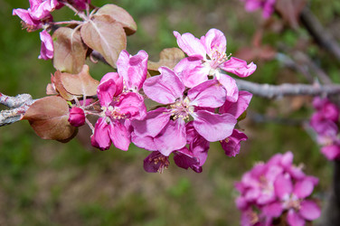 Similar image 2806596