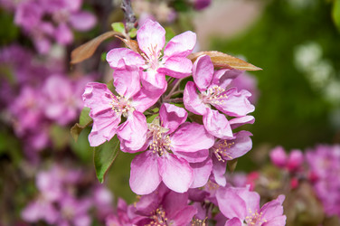 Similar image 2806597