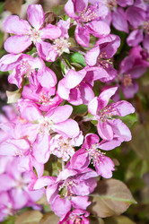 Similar image 2806599