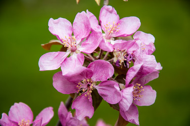 Similar image 2806600