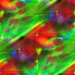 Similar image 2806660