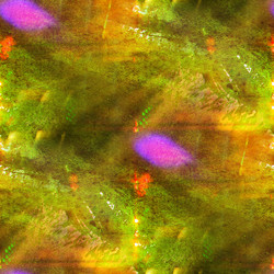 Similar image 2806674