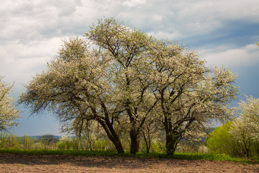 Similar image 2806974