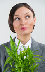 Similar image 2806982