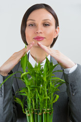 Similar image 2807024