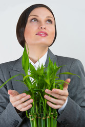 Similar image 2807025