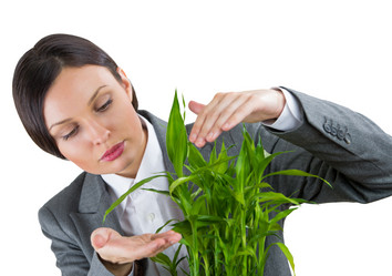 Similar image 2807031