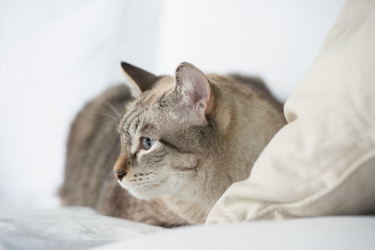 Similar image 2807048