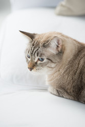 Similar image 2807068