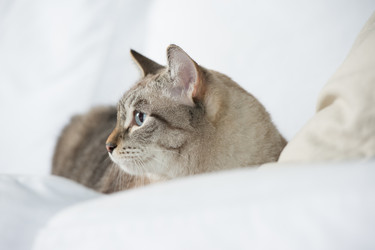 Similar image 2807072