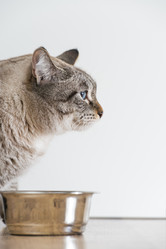 Similar image 2807082