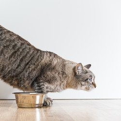 Similar image 2807128