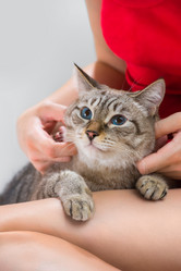 Similar image 2807134