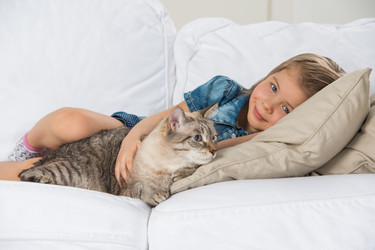 Similar image 2807137