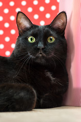 Similar image 2807155