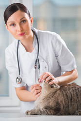 Similar image 2807242