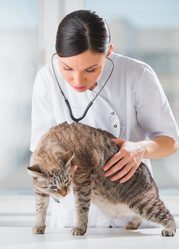 Similar image 2807255