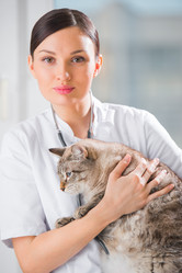 Similar image 2807263