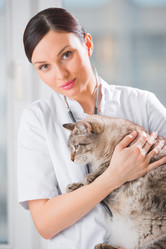 Similar image 2807269