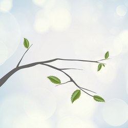 Similar image 2807780