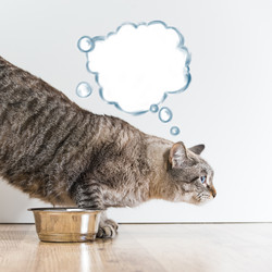 Similar image 2807822