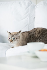 Similar image 2807885