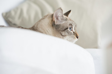 Similar image 2807888