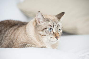 Similar image 2807889