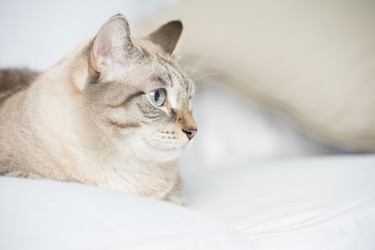 Similar image 2807890