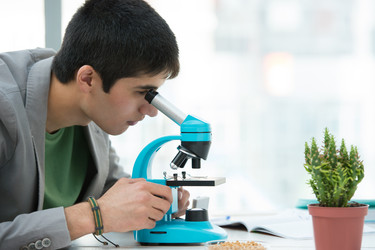 Similar image 2808021