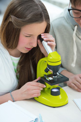 Similar image 2808060