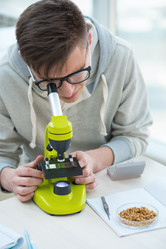 Similar image 2808061