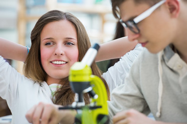 Similar image 2808062