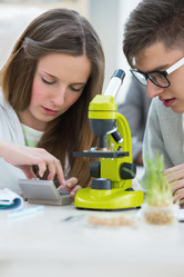 Similar image 2808069