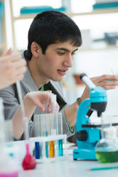 Similar image 2808106