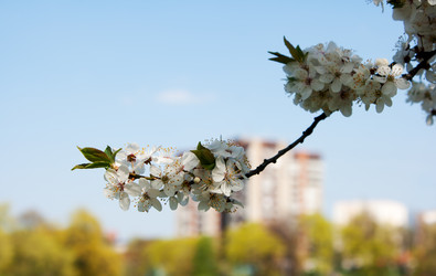 Similar image 2808734