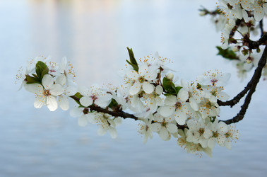 Similar image 2808735