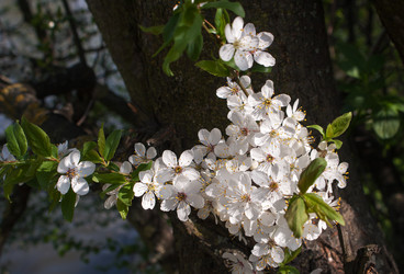 Similar image 2808743