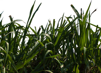 Similar image 2808745