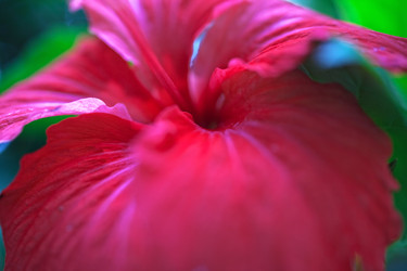 Similar image 2809117