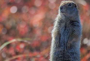 Similar image 2810292