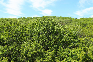 Similar image 2810552