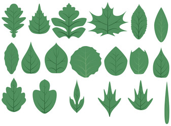 Similar image 2810556