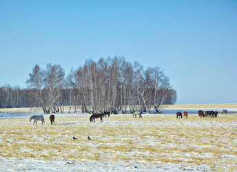 Similar image 2810623