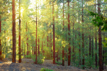 Similar image 2810907