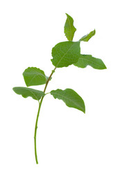 Similar image 2810923