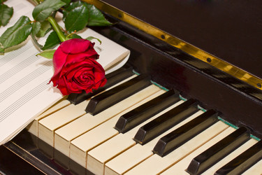 Similar image 2810925